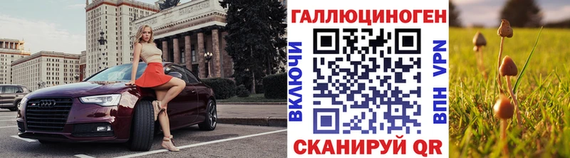 Галлюциногенные грибы Cubensis  Купить  Барабинск 